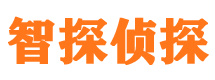 静宁市私家侦探